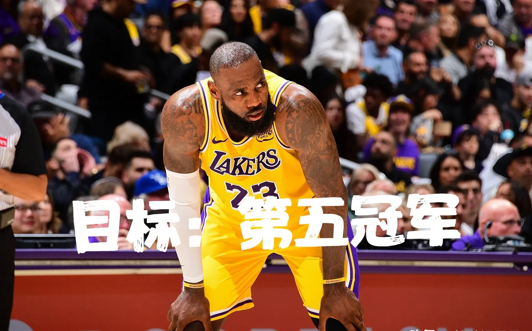 詹姆斯重返赛场，败北首场状态出色，勇士观众沸腾！